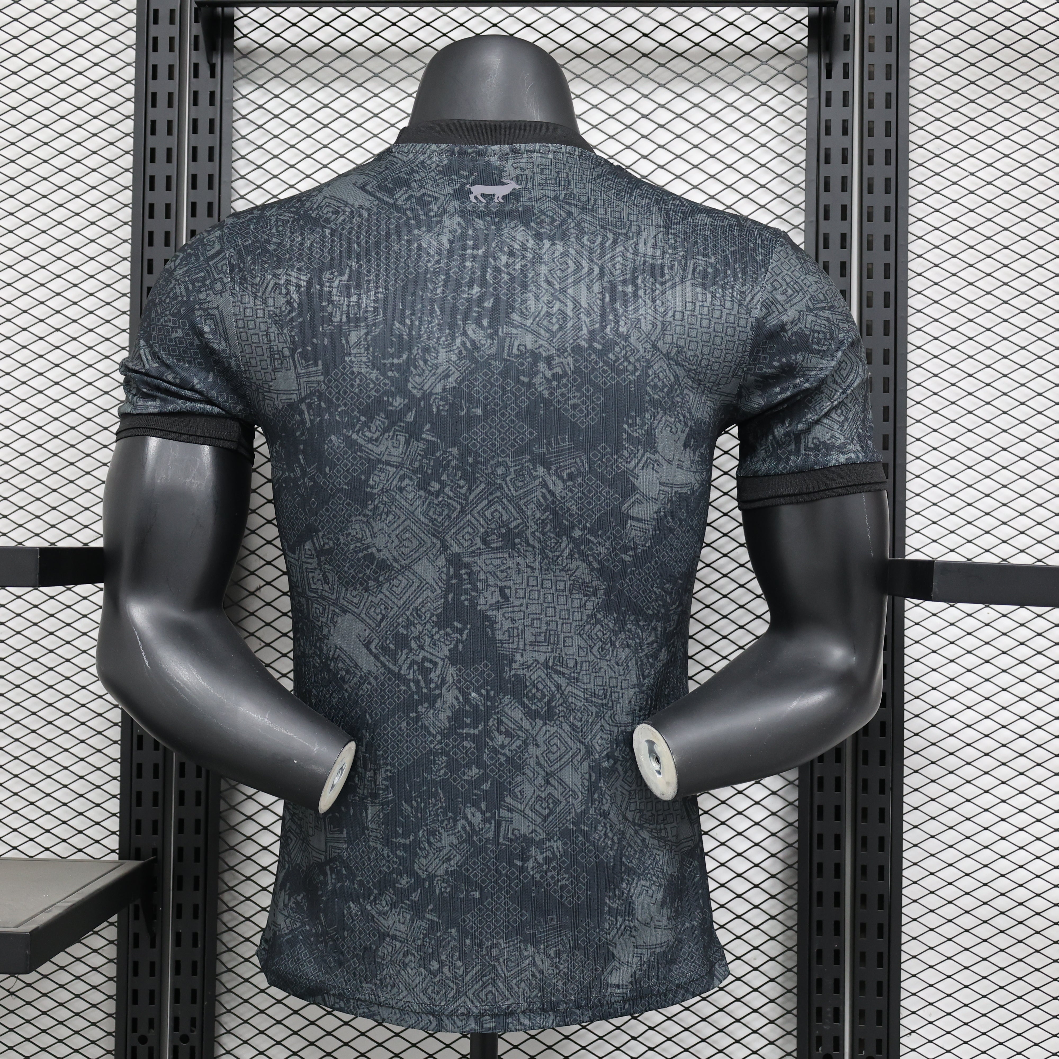 Maillot Player 24/25 Argentine Spécial