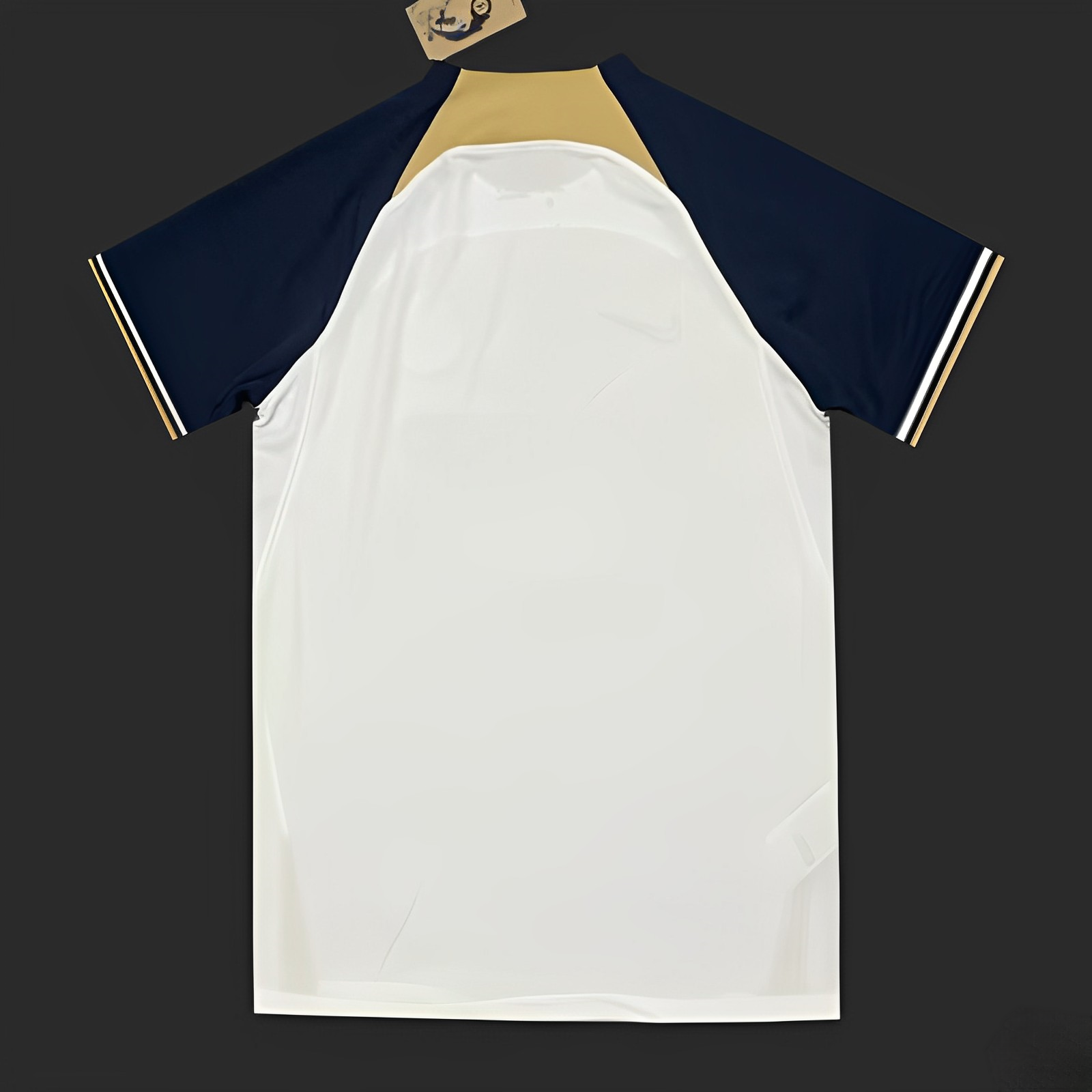 Chelsea maillot entraînement 2023 2024