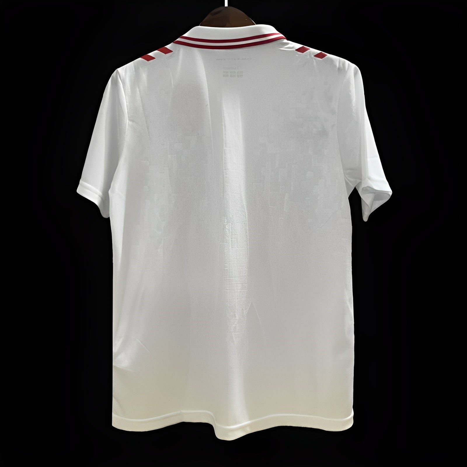 Maillot 24/25 Danemark Blanc