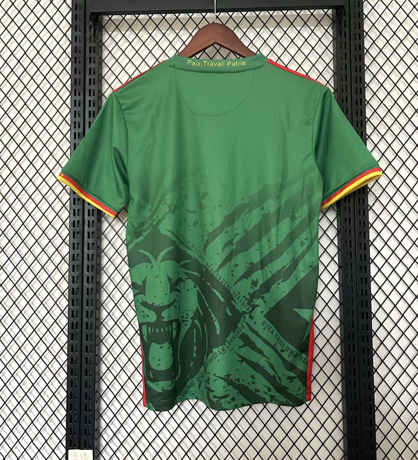 Maillot Cameroun Spécial 25/26