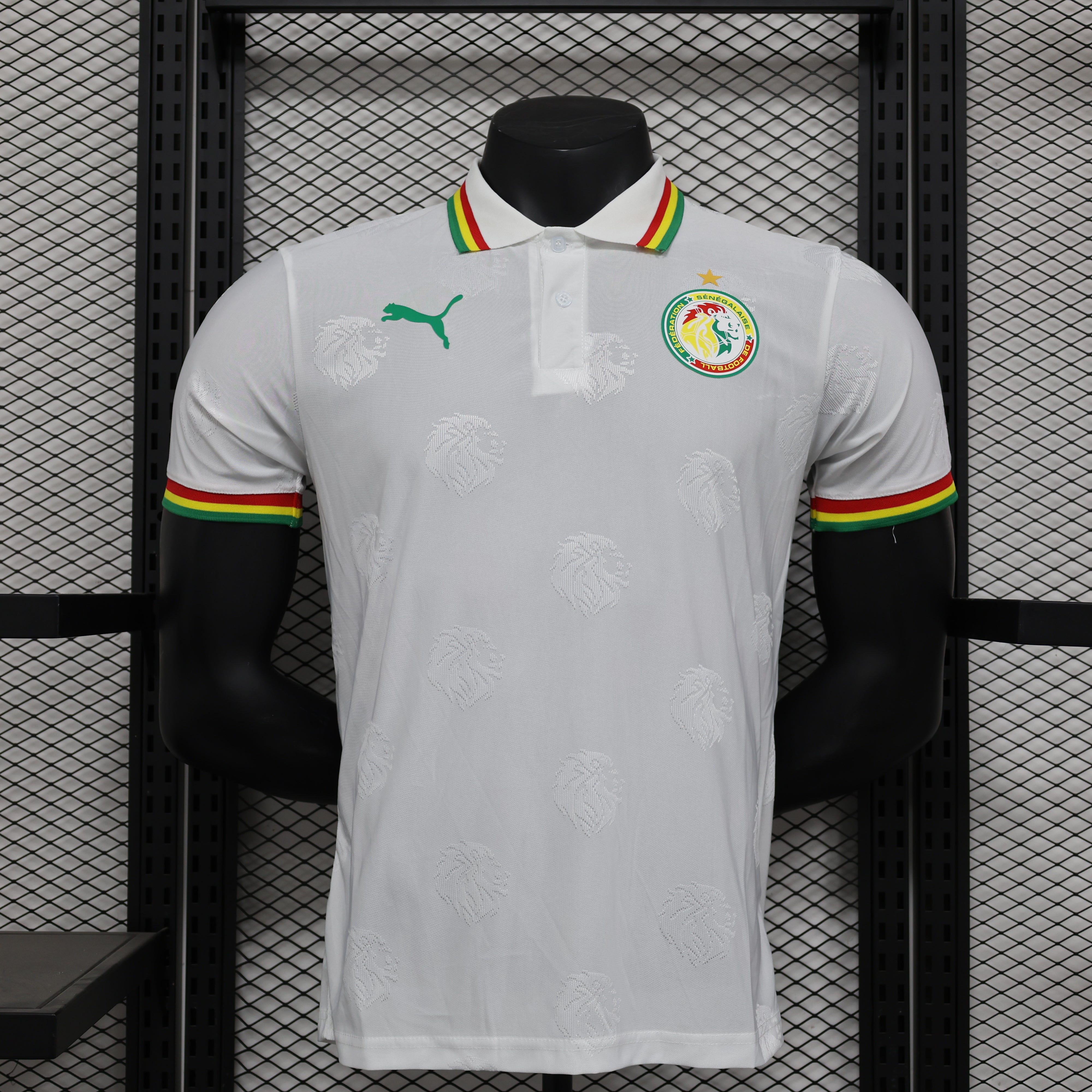 Maillot PLAYER 24/25 Sénégal Spécial Blanc