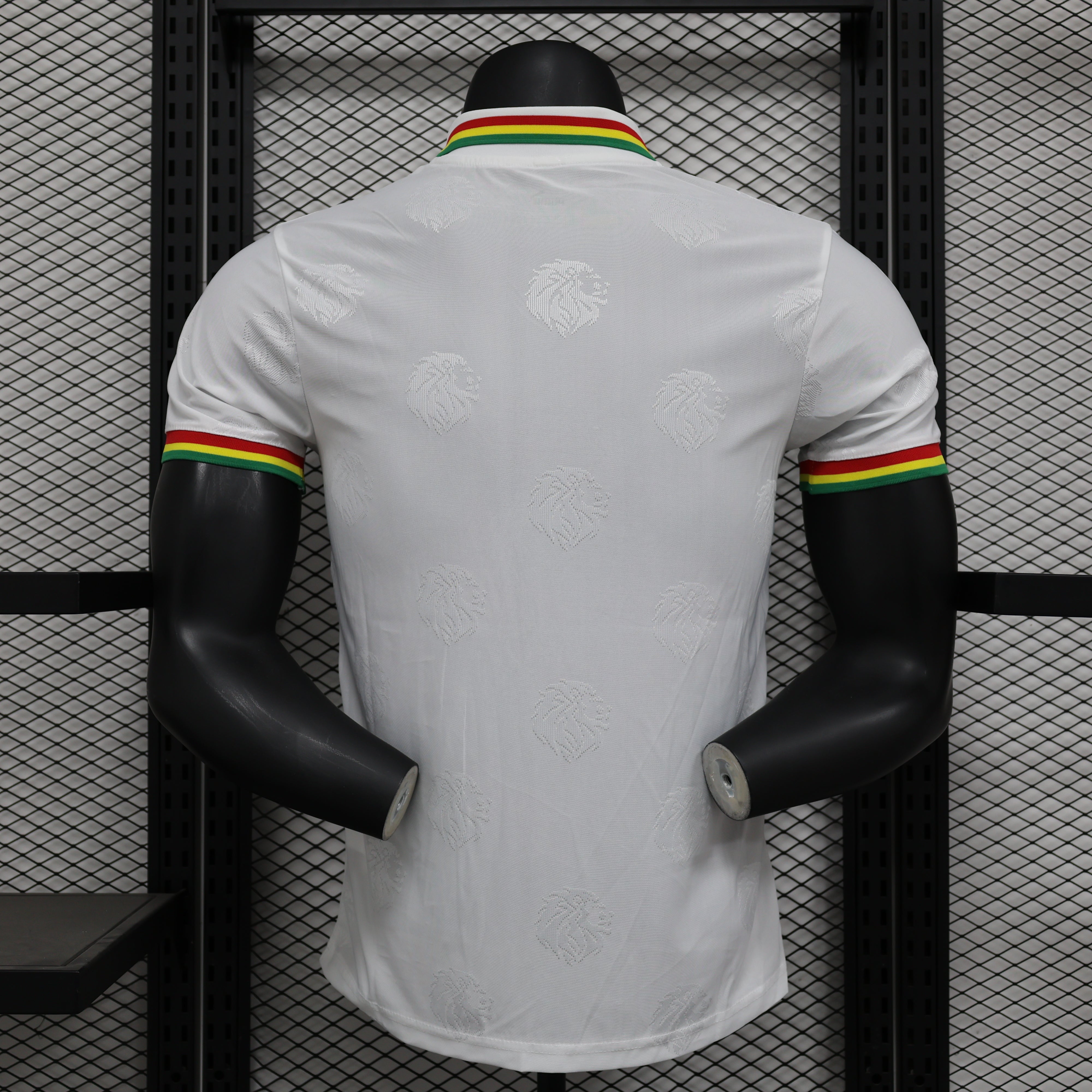 Maillot PLAYER 24/25 Sénégal Spécial Blanc