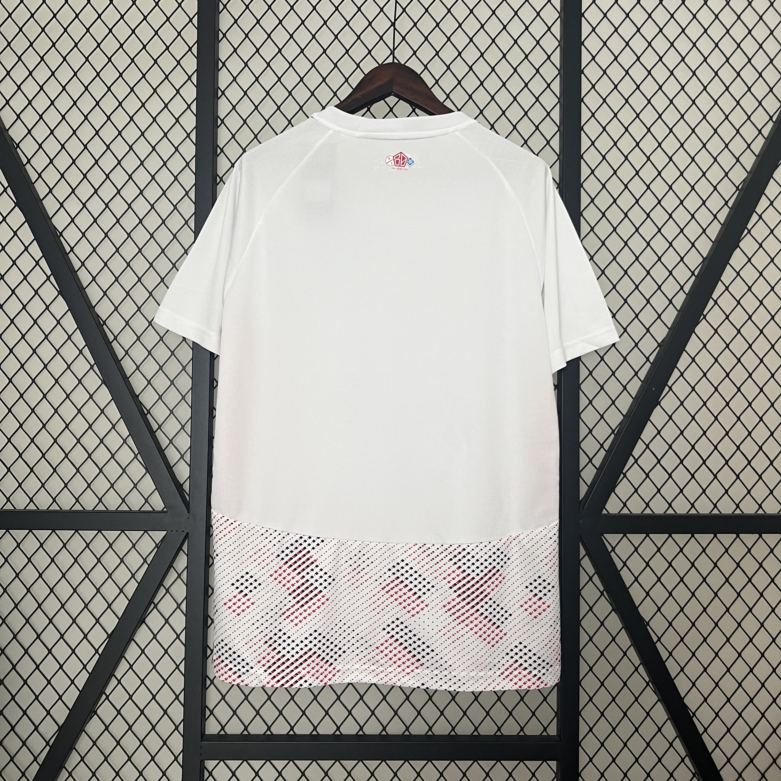 Maillot 24/25 Lille Spécial