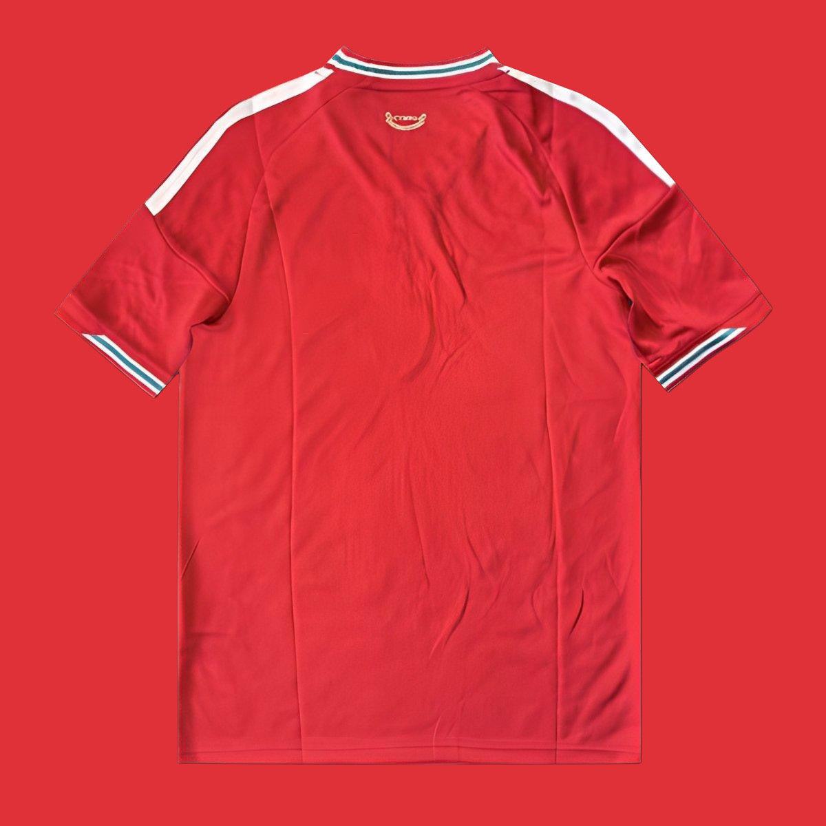 Maillot 26/27 Pays De Galles Domicile