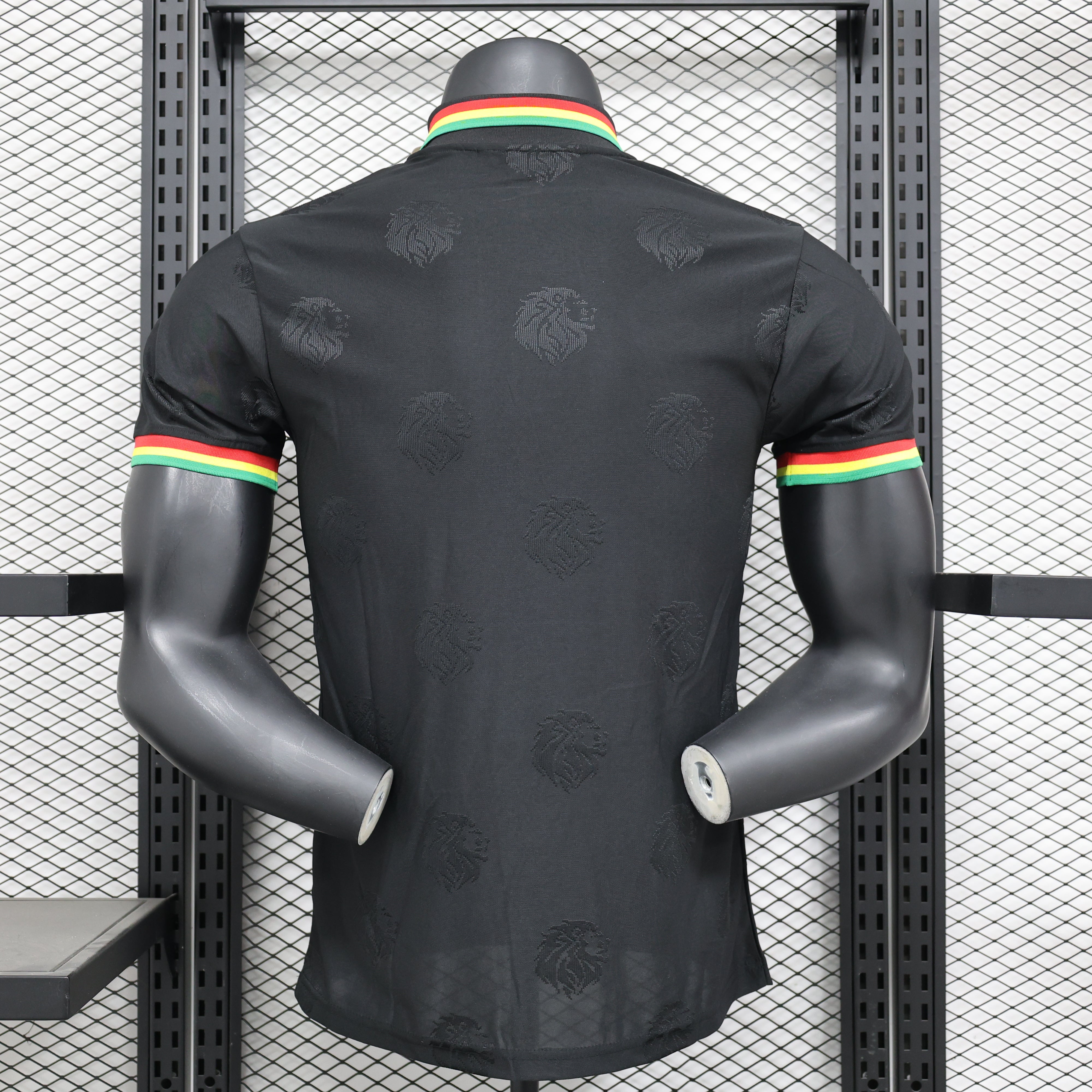 Maillot PLAYER 24/25 Sénégal Spécial