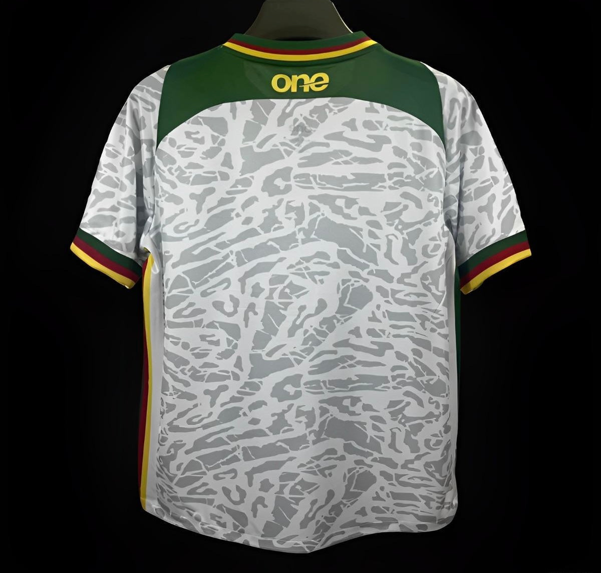 Cameroun maillot entraînement Blanc 2023 2024